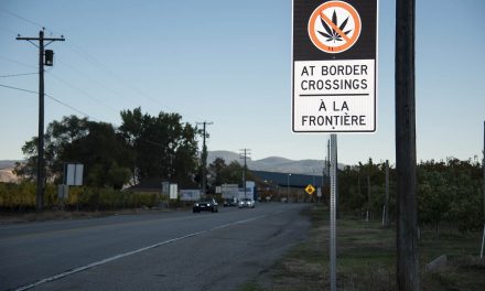 Pot is legal, but legal pot unavailable here