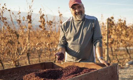 Local winemakers excited about this year’s vintage