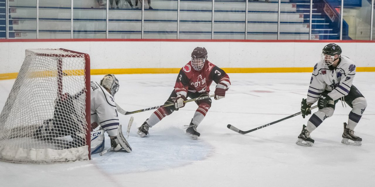 Coyotes’ 6-3 win over Knights propels them into third place