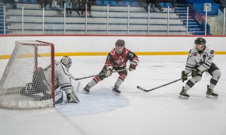 Coyotes beat Grizzlies 5-4 in overtime thriller