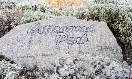 Council supports renaming of park on Cottonwood Drive to Rotary Park