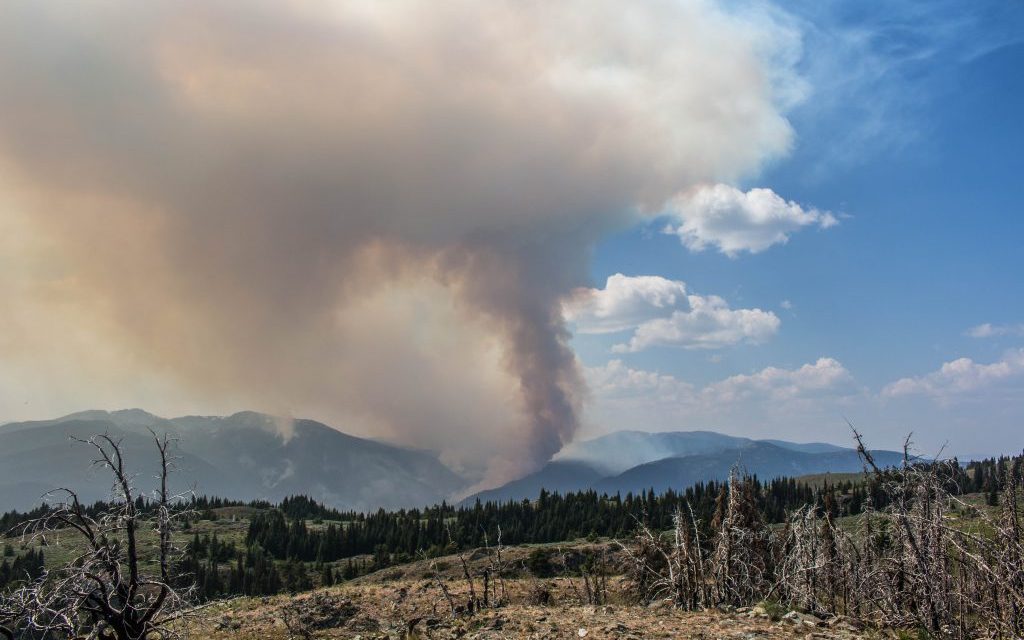 Recruitment now underway for 2019 wildfire fighters