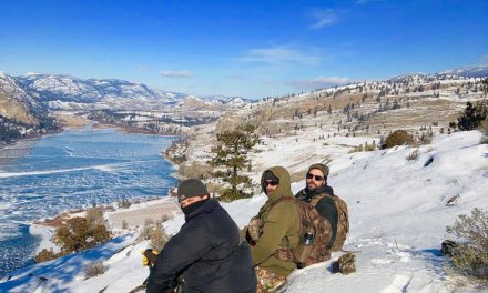 2019 Sheep Count at Vaseux Lake