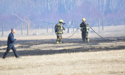 Fine issued for last week’s grass fire