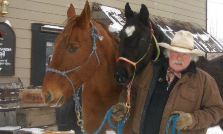Horse Highrise Hotel coming to Osoyoos