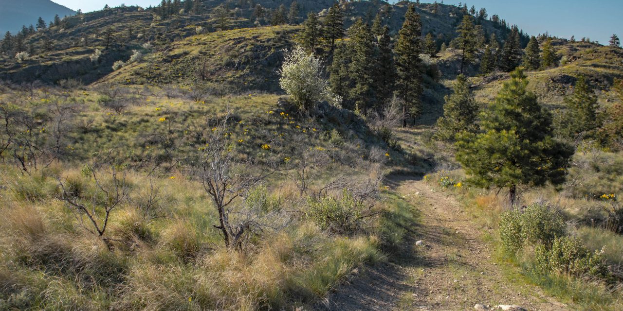 Parks Canada meeting in Oliver May 14