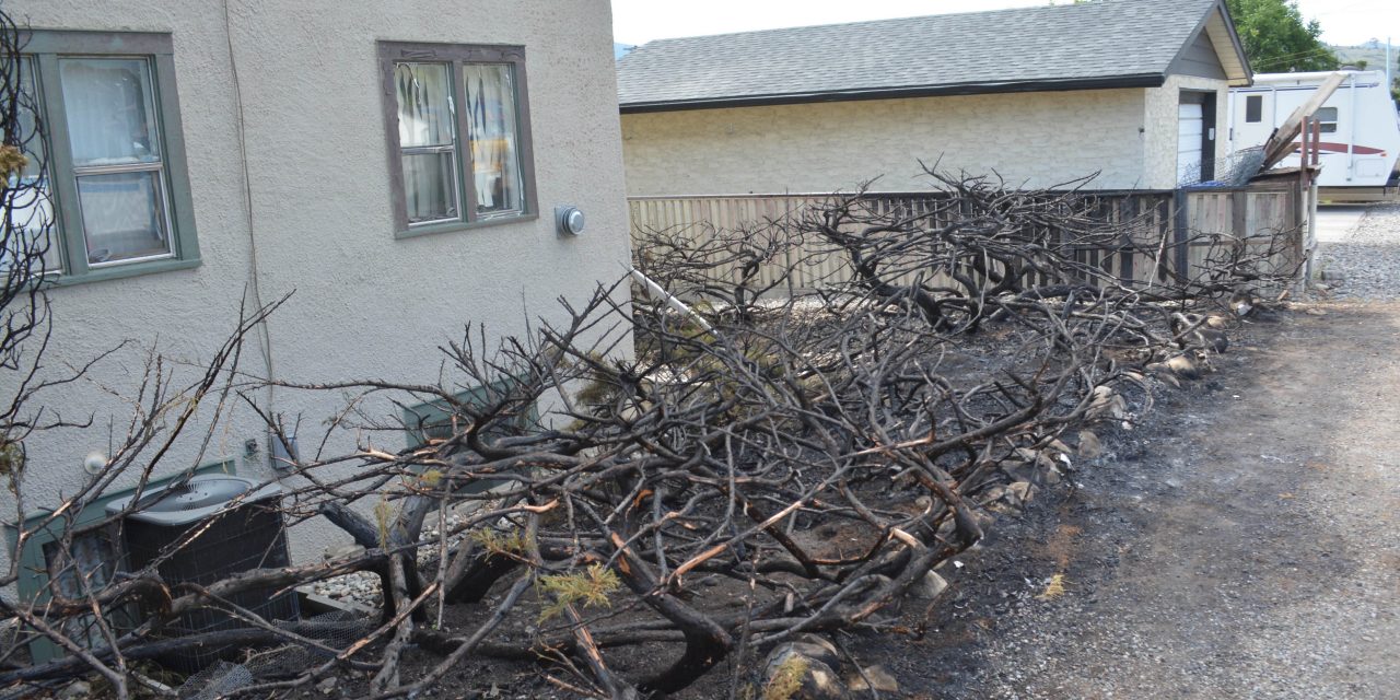 Neighbours rally to save family in crisis