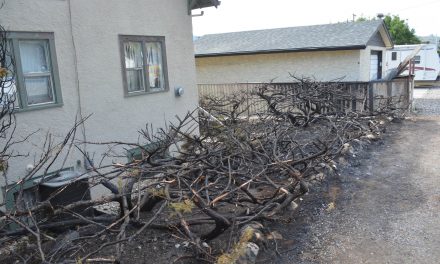 Neighbours rally to save family in crisis