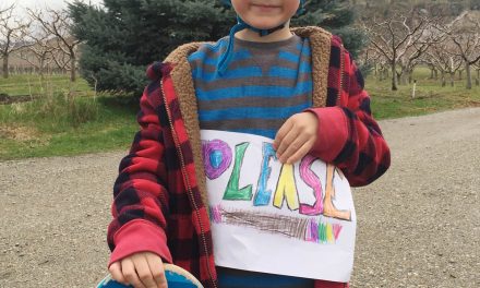 Small Wheels park needs your vote
