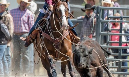 Willowbrook cowgirl taking rodeos by reins