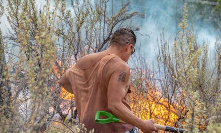 Grass fire contained