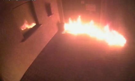 UPDATED: Fallen power line caused hedges then shed catch fire; volunteers worked hard to save house