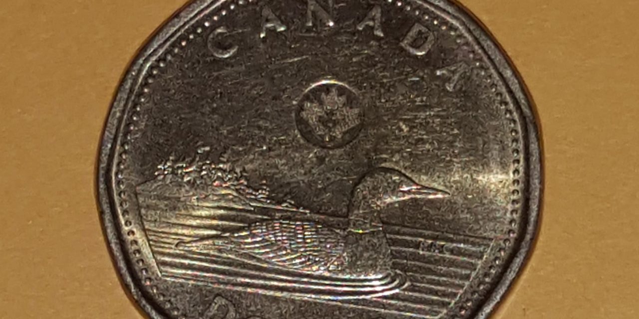 Council ponders what to do with gas tax money