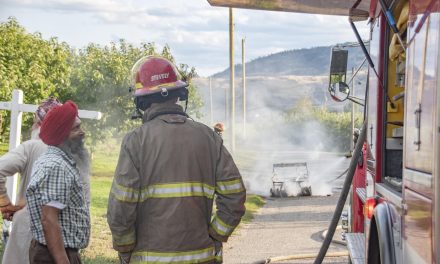 Golf cart fire