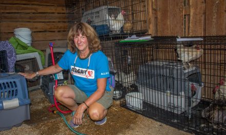 Animals evacuated from fire housed in Osoyoos