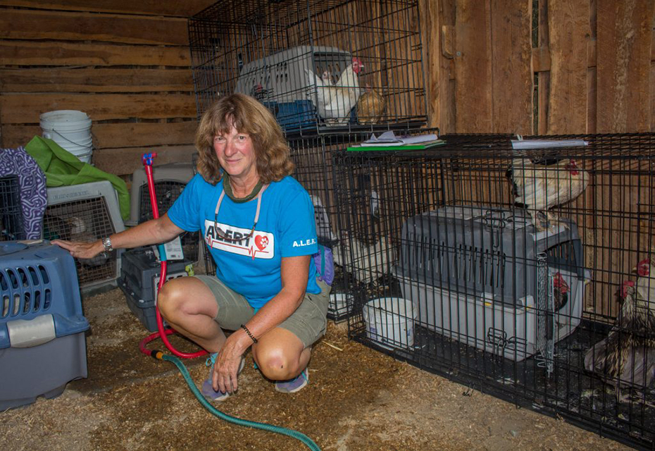 Animals Evacuated From Fire Housed In Osoyoos Timeschronicle Ca