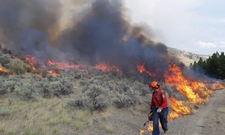 Planned ignitions scheduled for Eagle Bluff wildfire