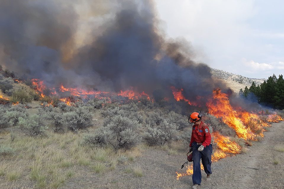 Planned ignitions scheduled for Eagle Bluff wildfire