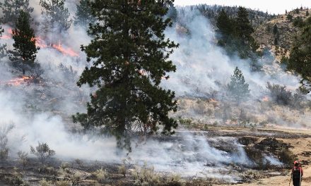 Eagle Bluff wildfire grows into terrain safer and more workable for crews