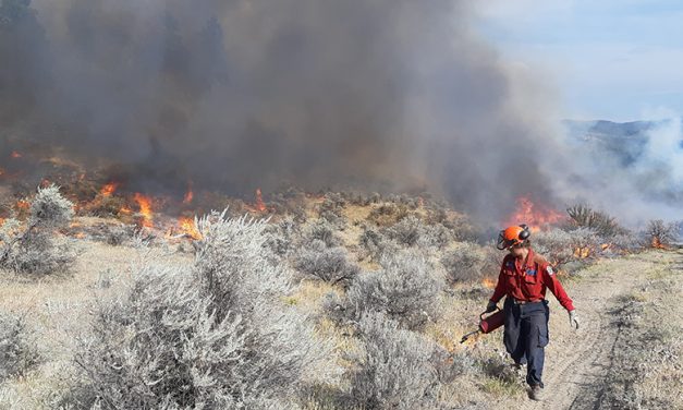 In a world on fire, making the case for burning more