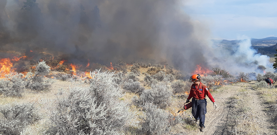 In a world on fire, making the case for burning more