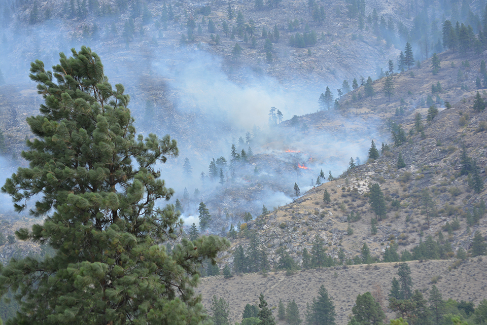 RDOS rescinds evacuation alerts in Oliver area