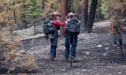 Eagle Bluff fire now ‘held’ and not expected to grow