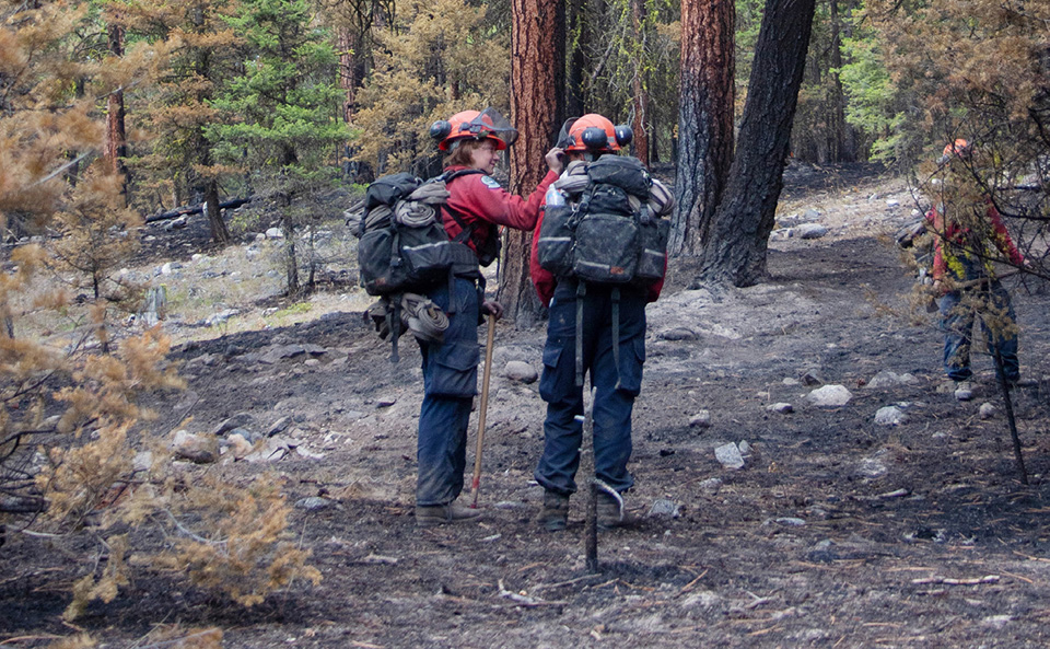 Eagle Bluff fire now ‘held’ and not expected to grow