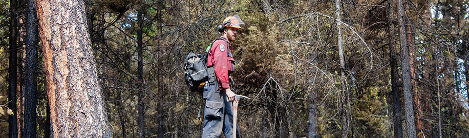 Fighting fire with fire on Eagle Bluff