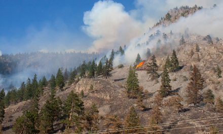UPDATE: Evacuation alerts rescinded, Richter Mtn. fire ‘held’