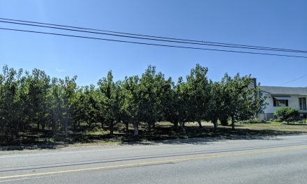 Town approves non-farm use
