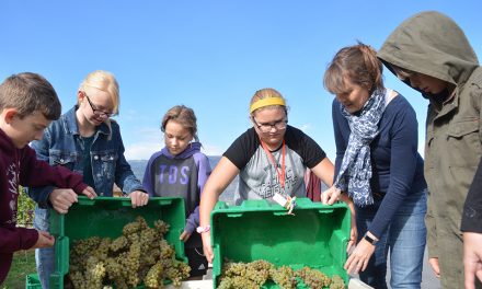 School and winery new partners