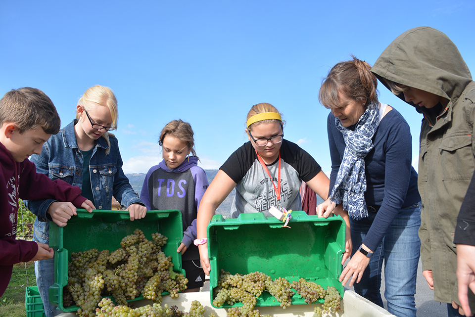 School and winery new partners