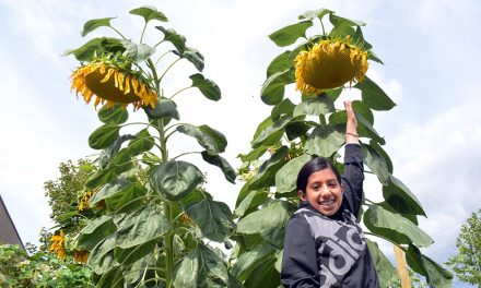 Students turning into ‘green thumbs’ at OES