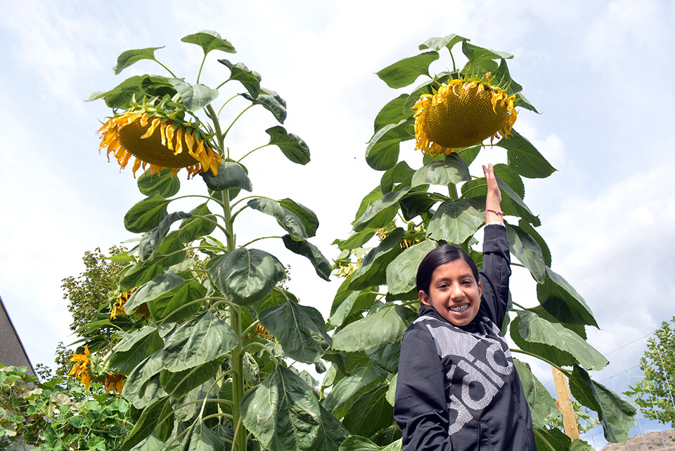 Students turning into ‘green thumbs’ at OES