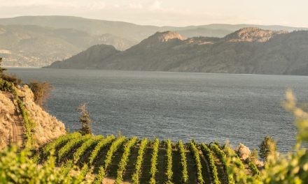 Town supports TOTA’s biosphere destination