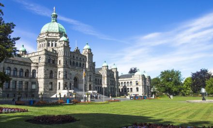 LETTER: People have a chance to hold political leash