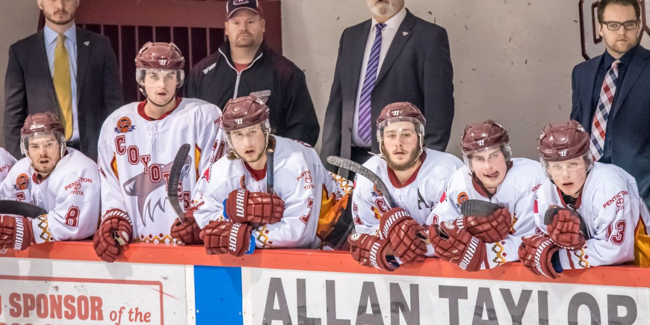 Coyotes seeking new head coach as Ken Law’s contract not renewed