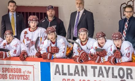 Coyotes seeking new head coach as Ken Law’s contract not renewed