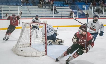 With two weekend wins, Coyotes extend winning streak to three games