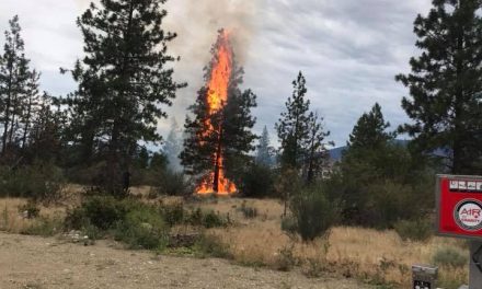 Discarded cigarette believed the culprit of brush fire