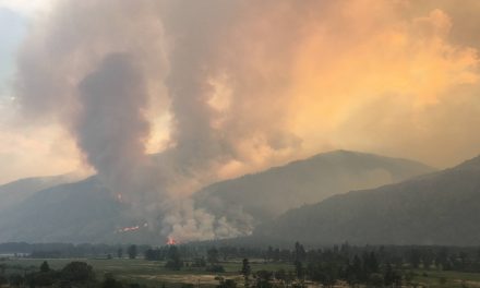 Snowy Mountain fire crosses river