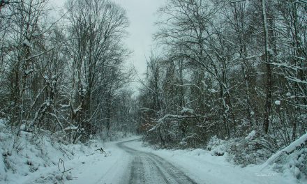 LOOKING BACK: The tale of two ladies on a lonesome road