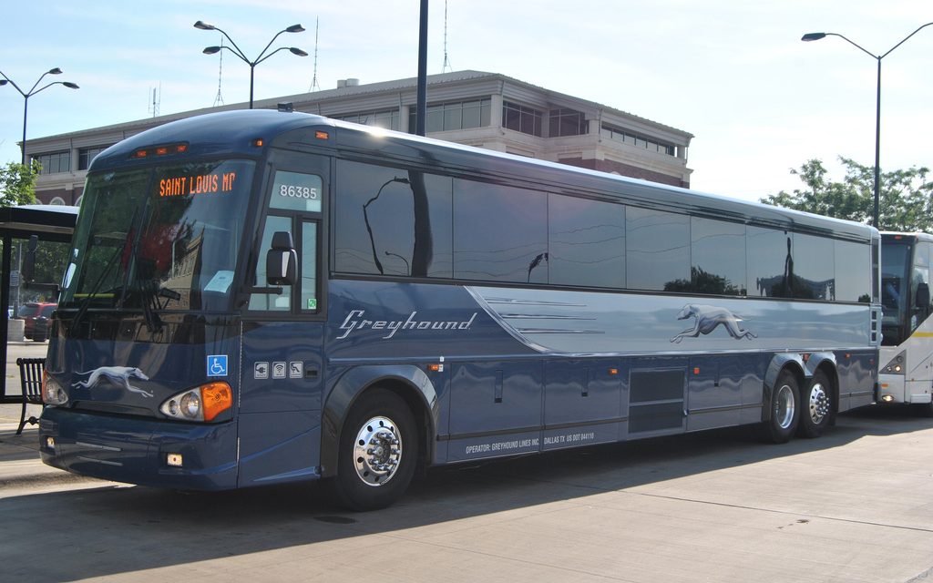 Local politicians say province needs to respond to Greyhound cuts