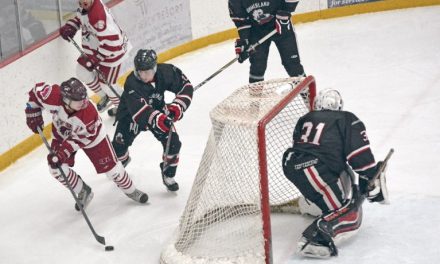 Arena funding sought for major upgrades