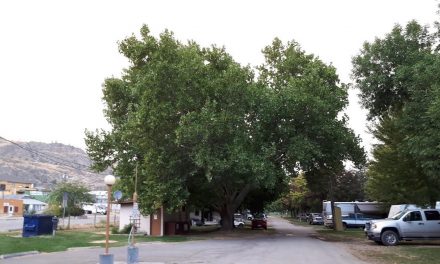 Old RV park gets TLC