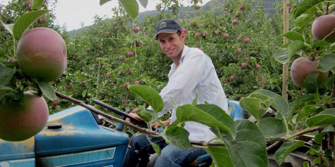 Younger generation grower wants to be water councillor