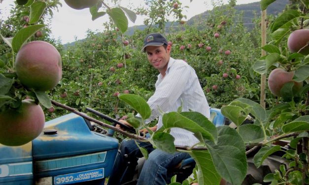 Younger generation grower wants to be water councillor