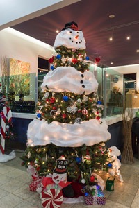 Festival of Trees raises over $7,000 for BC charities