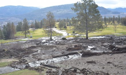 Fairview golf course reopens following mudslide